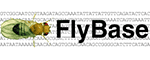 Logo Flybase